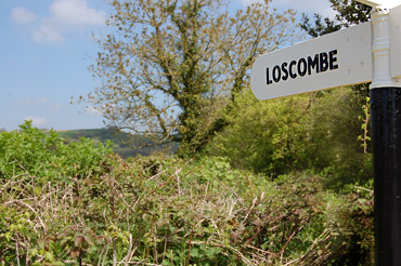 sign loscombe