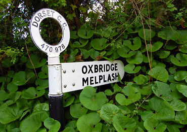 sign melplash